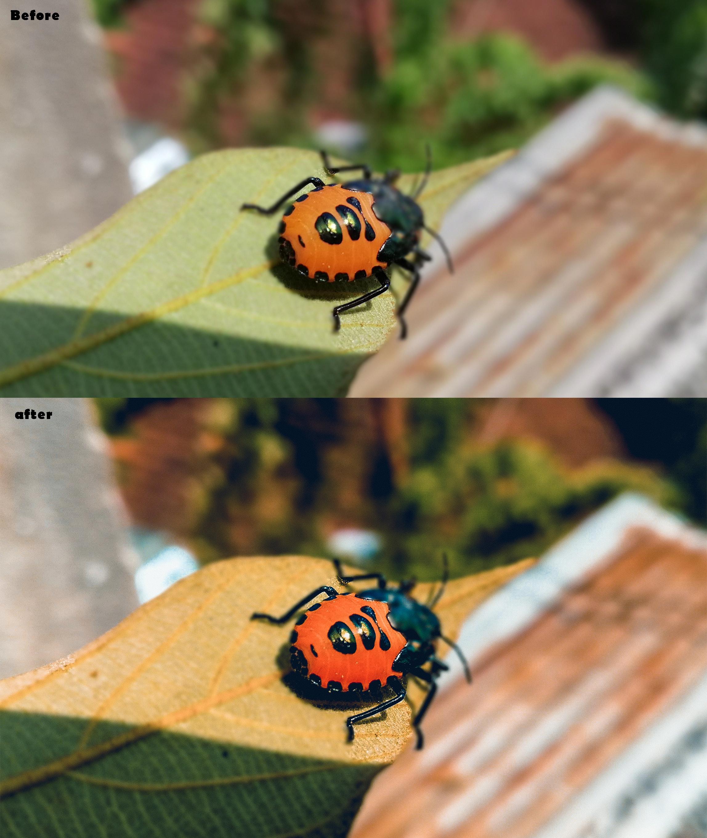 I will do photo editing in 24 hours