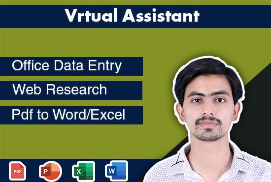 I will be your virtual assistant for data entry, copy paste and web research