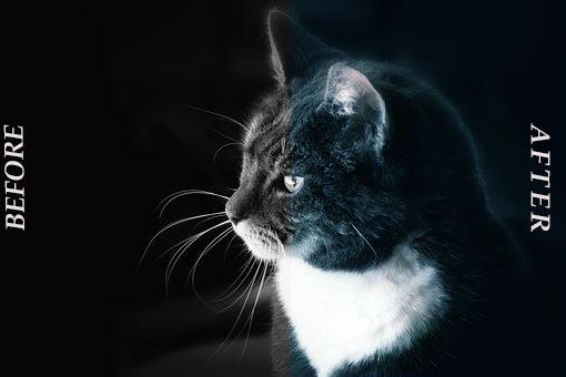 I can convert B&W Image Into a Natural Colour Image