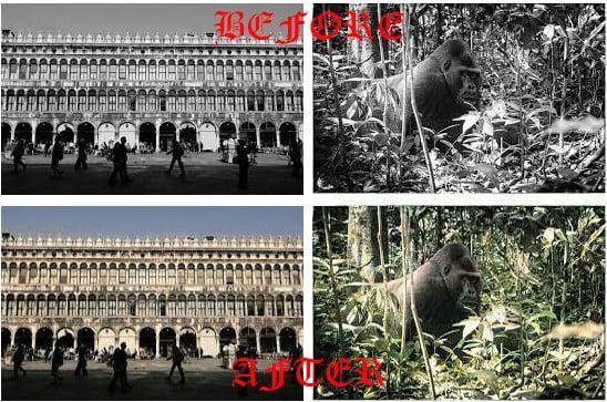 I can convert B&W Image Into a Natural Colour Image