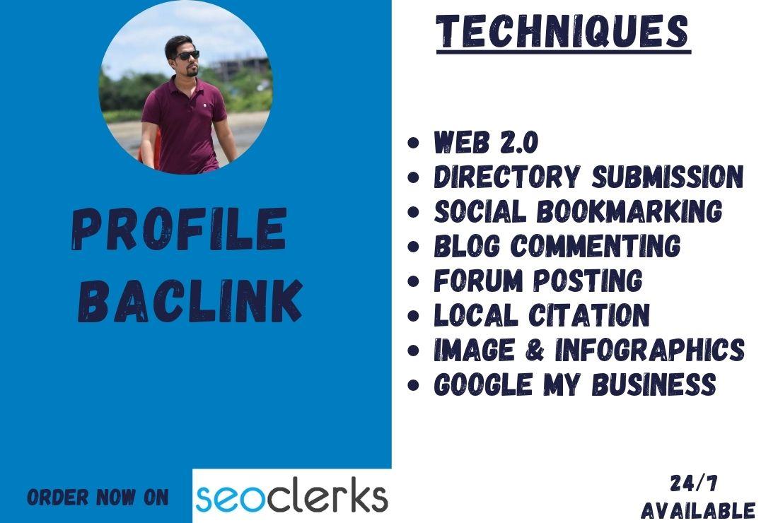 Build high authority SEO profile backlink for your website 
