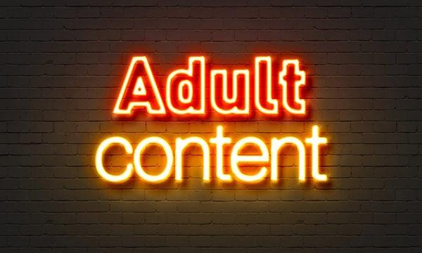 18+X 450+ High quality backlinks for Adult site/Escorts/Dating Rank Booster High Authority Backlinks