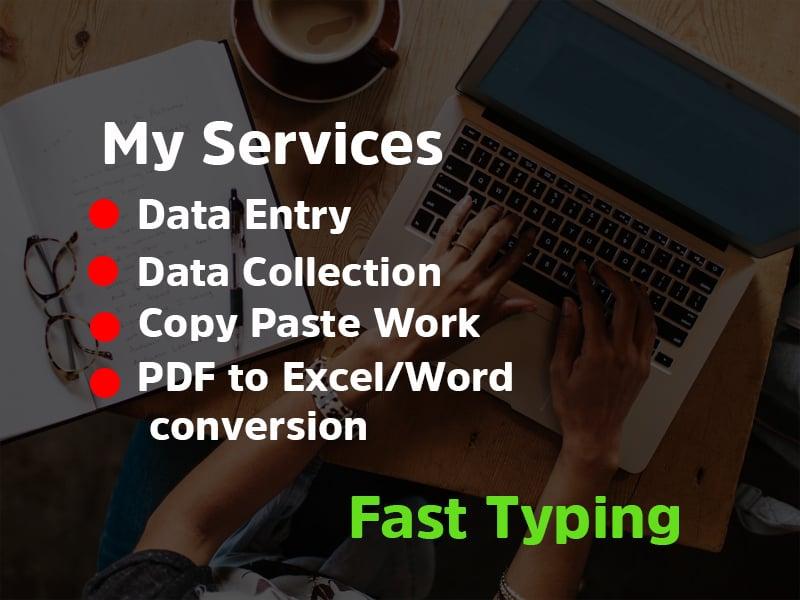 I will do data entry, copy paste work of your business