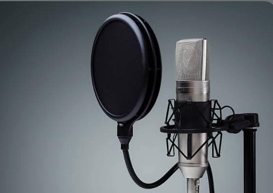 I have the skill of voice-over.