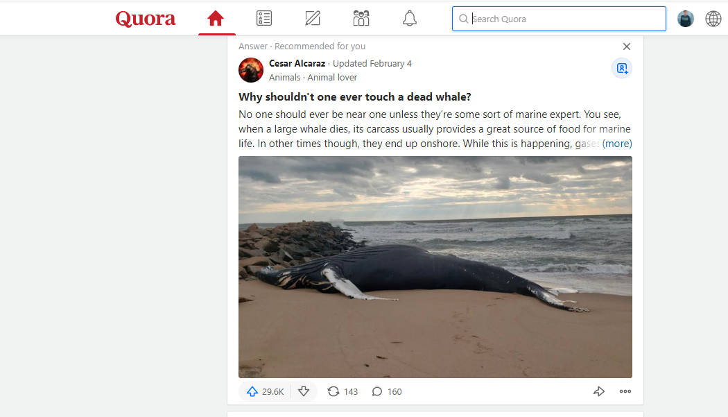 Offer Guarantead targeted Traffic With 50 quora answer