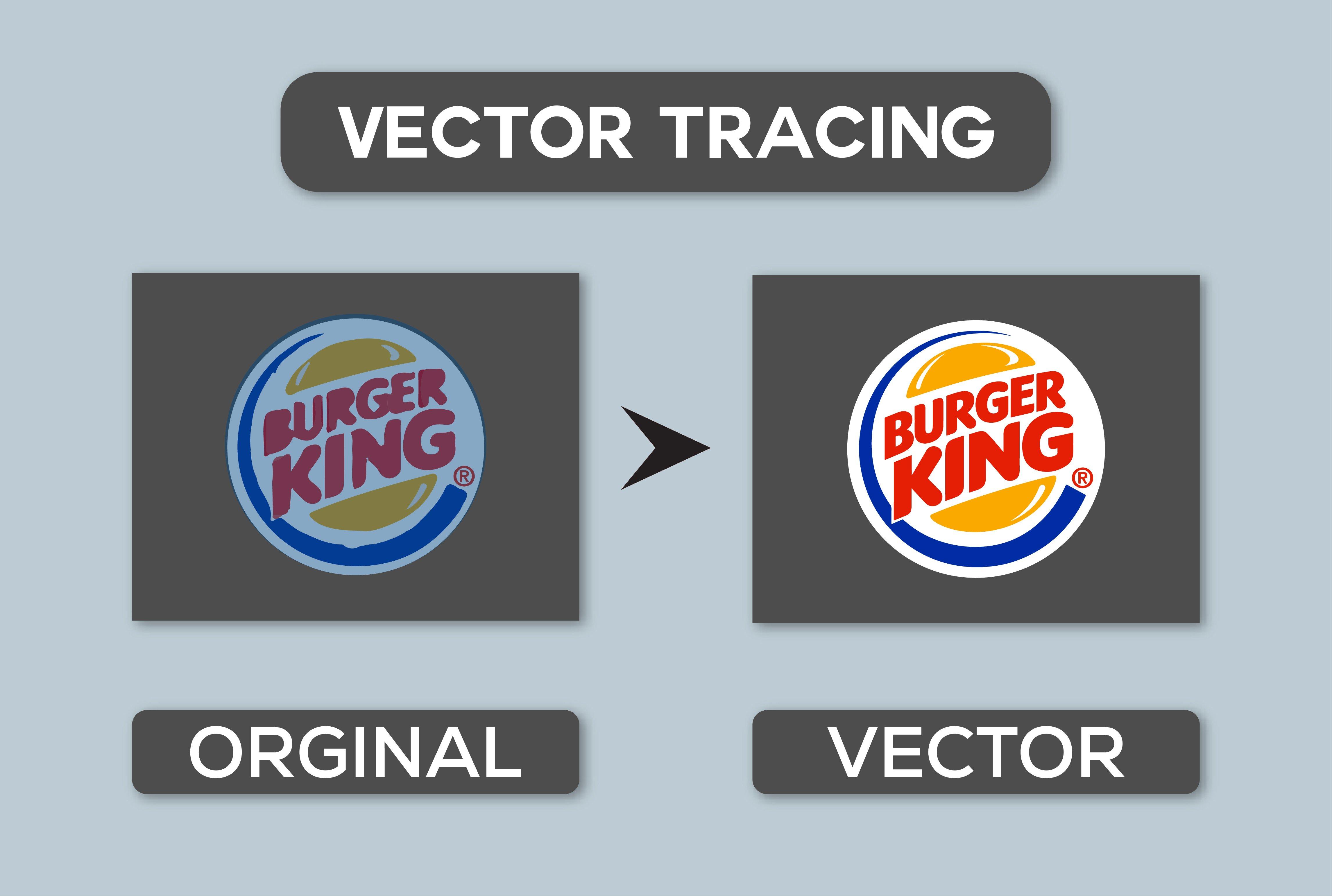 I will manual vector tracing, vectorization, illustration, and image trace
