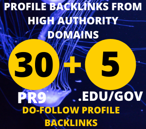 I will Create 30 Pr9 + 5 Edu/Gov Dofollow DA 85+ SEO profile backlinks