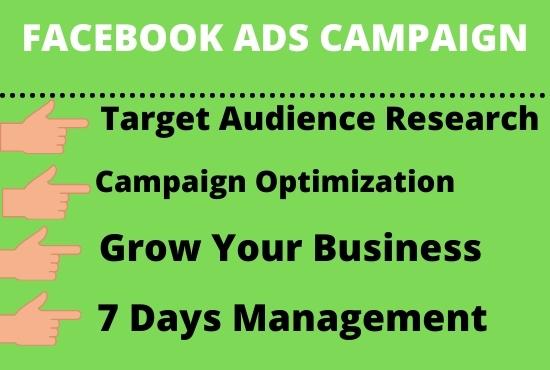 I will set up an advanced Facebook ads campaign for high sales