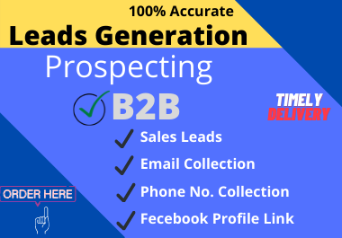 I will do b2b lead generation, collect business leads and Prospecting