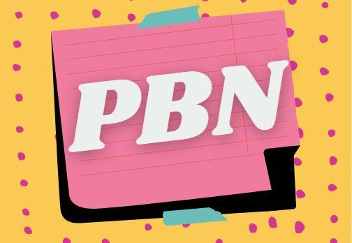 I will provide 10 Unique High Quality Homepage PBN Backlink