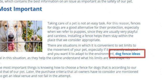 I will publish your article on my pets niche blog