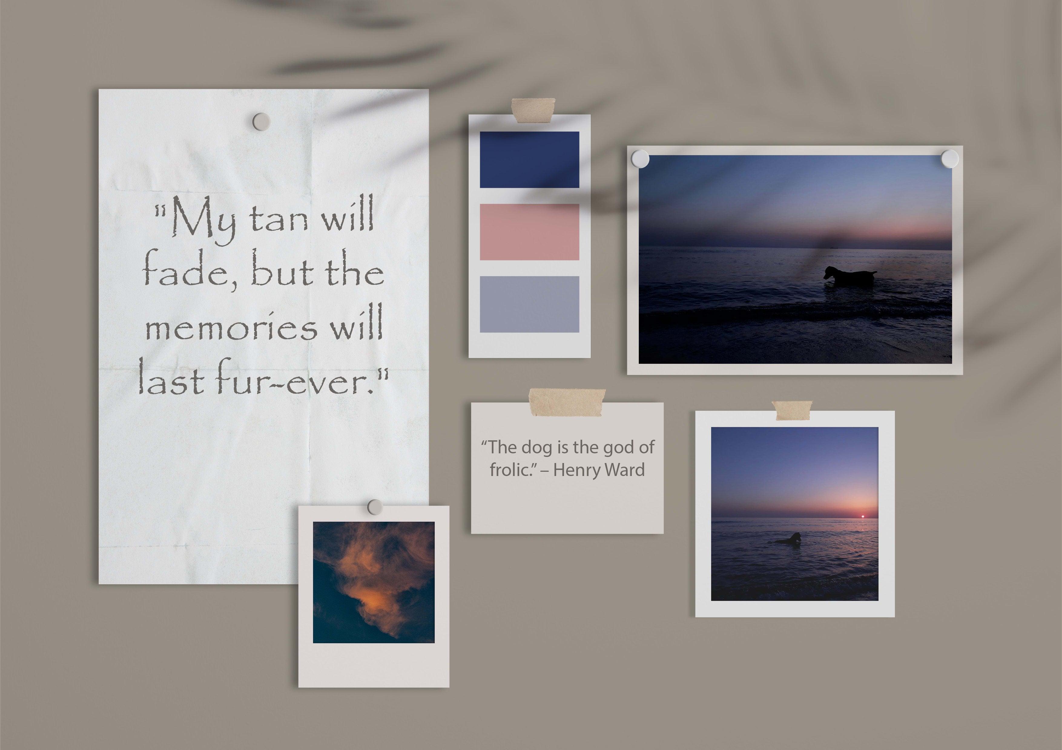 I will create your brand color palette