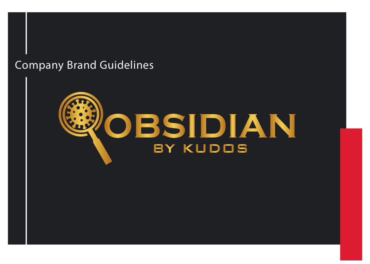 I will design brand style guide or brand identity book manual