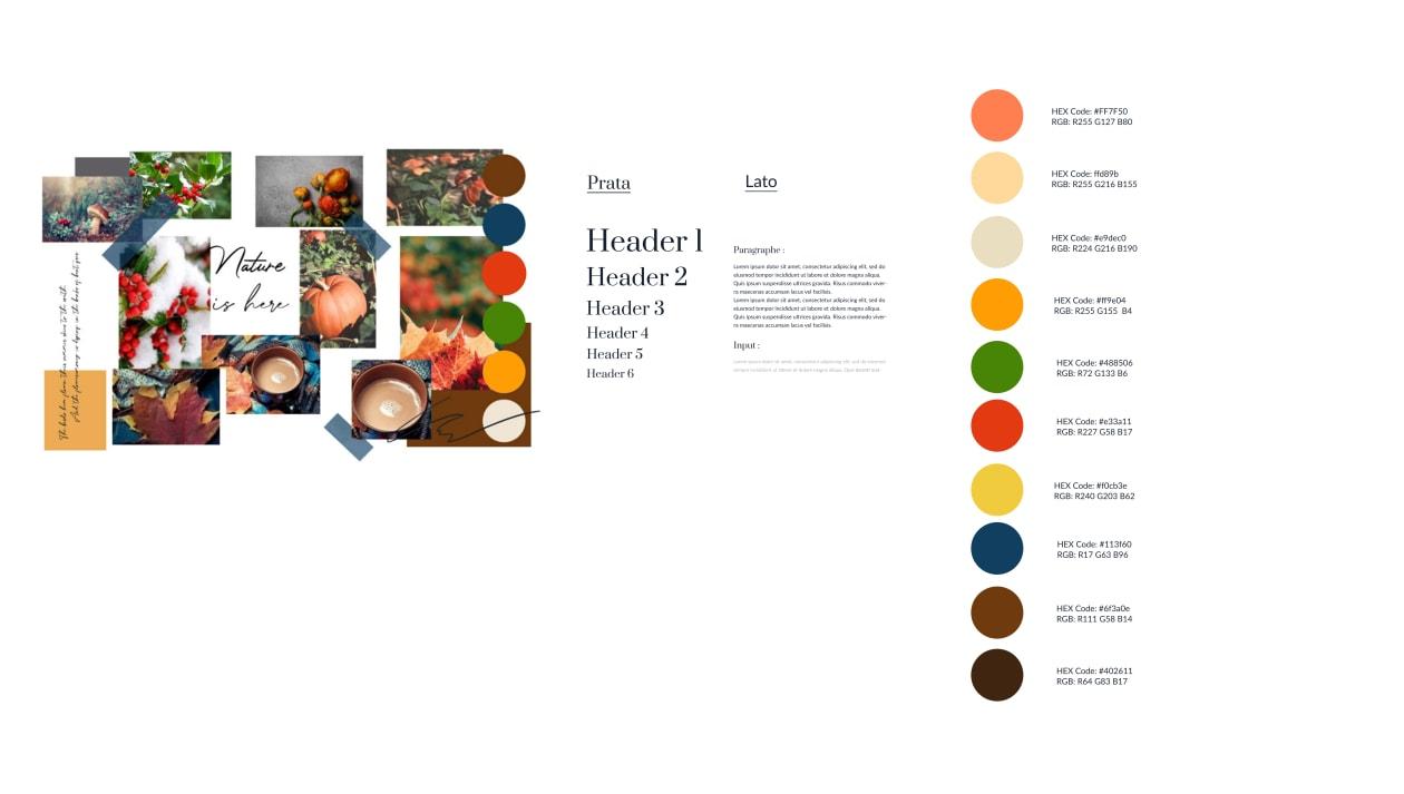 I will create your brand color palette