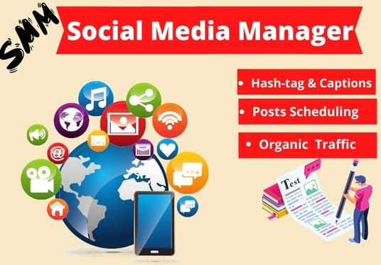 I will be your social media marketing manager for SMM