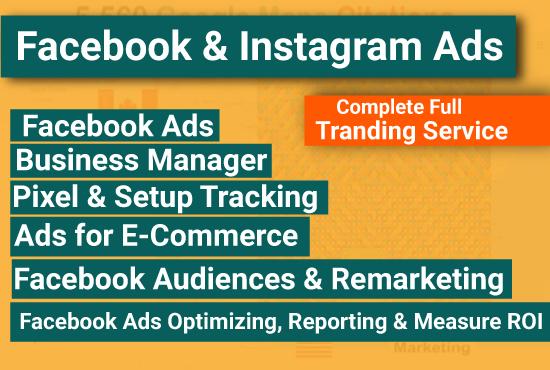 I will setup Facebook ads, strategies, and funnels professionally