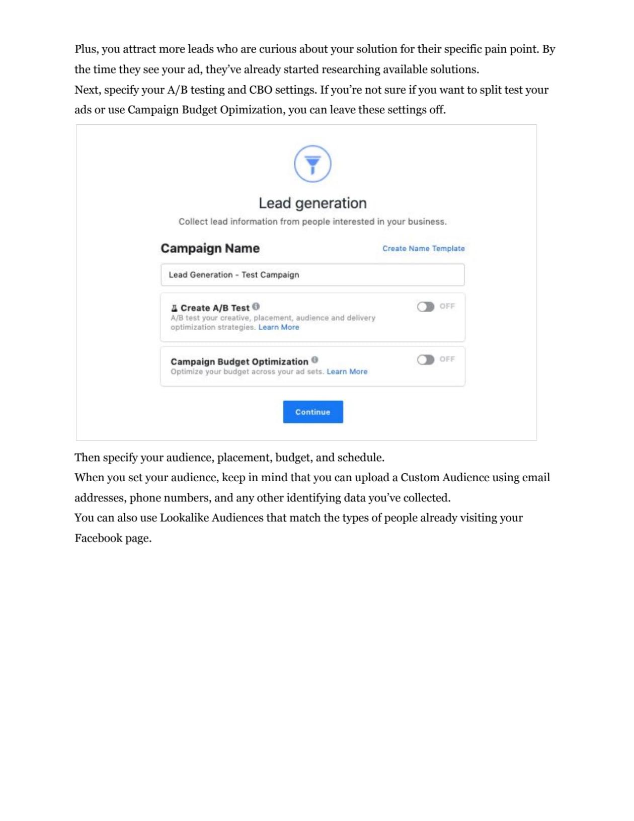 I will consult on facebook ads success via zoom