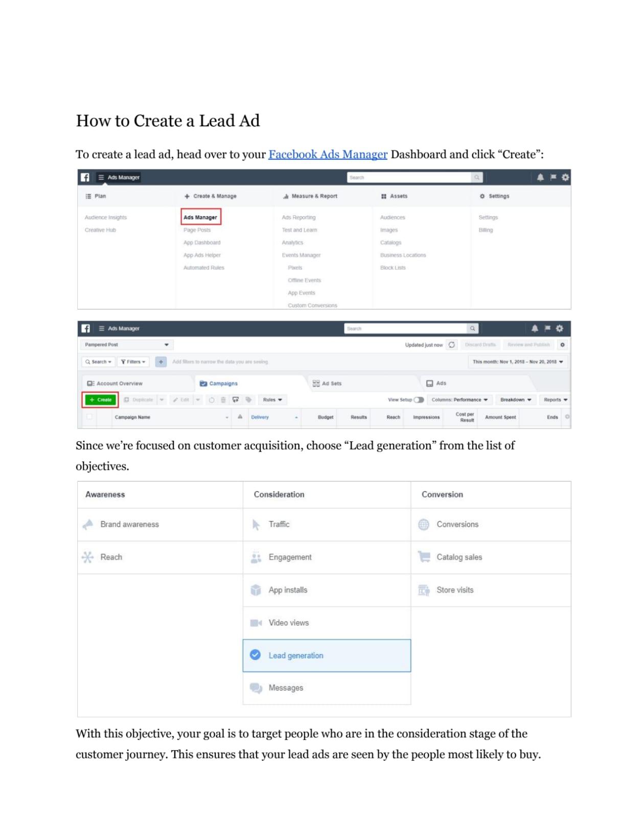 I will consult on facebook ads success via zoom