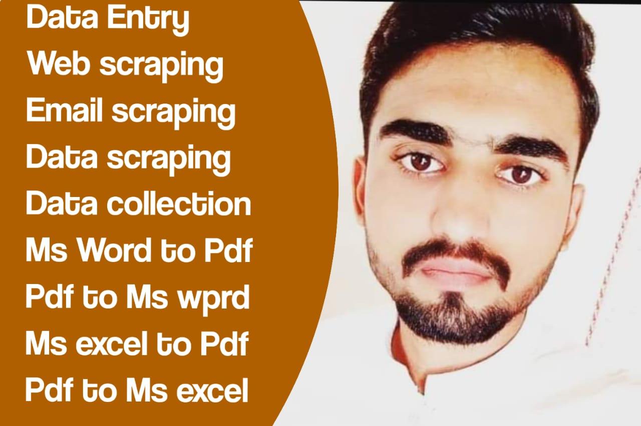 I will do fast all types of data entry work