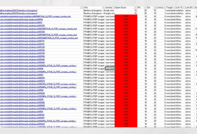 Disavow Spam Backlink Through Website Audit
