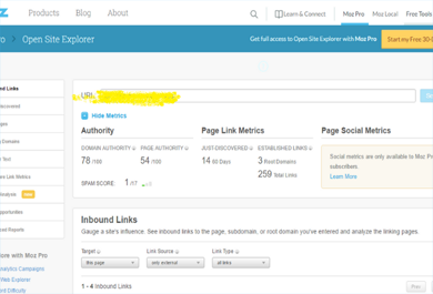 increase MOZ DA | Domain Authority 30 plus 