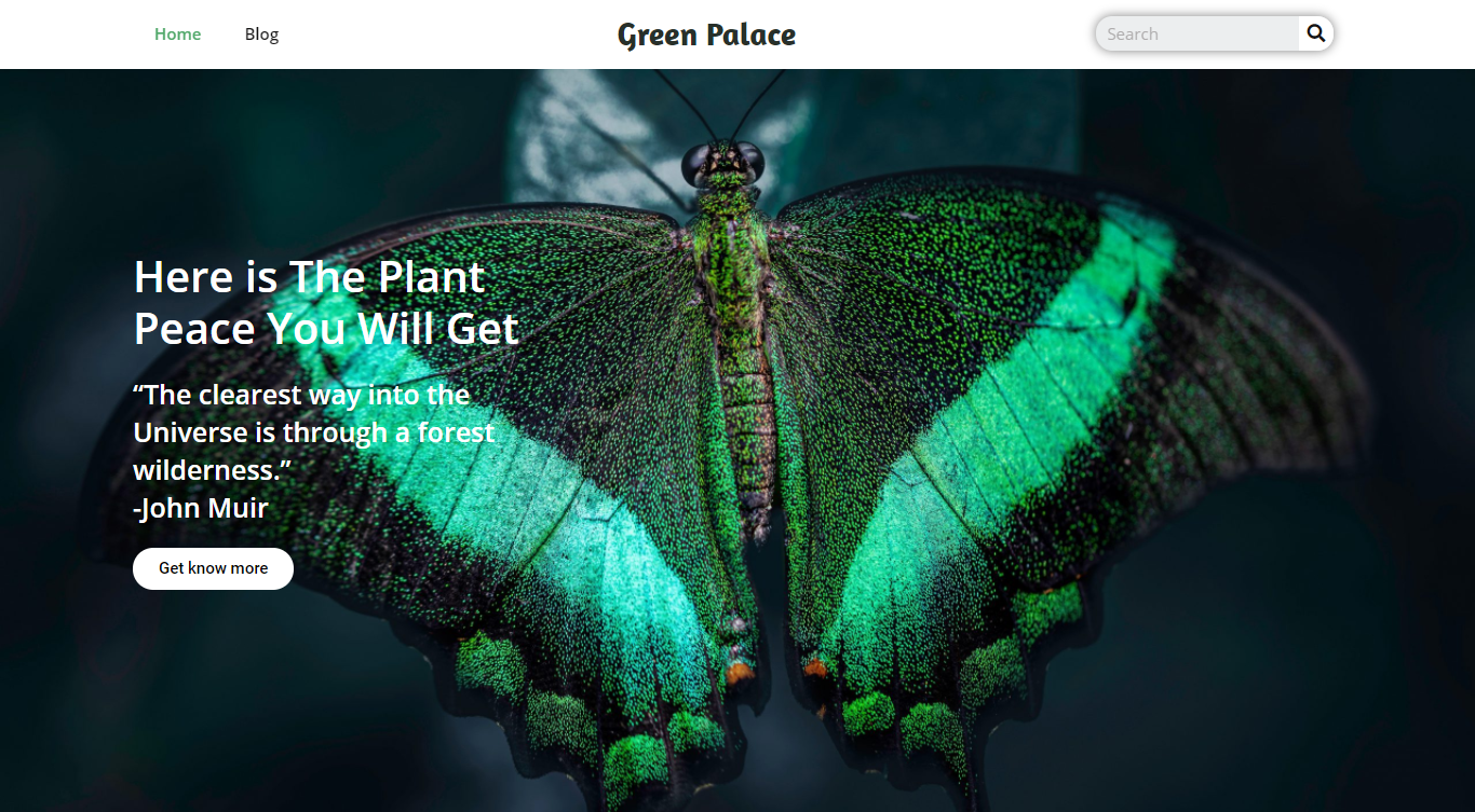 I will do wordpress theme customization and responsive web design