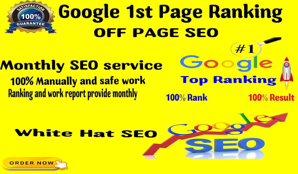 I will provide complete monthly SEO service for google top ranking