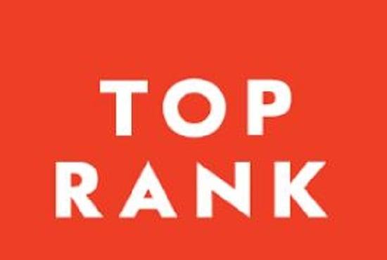 I will drive traffic google search quality organic for your website top ranking