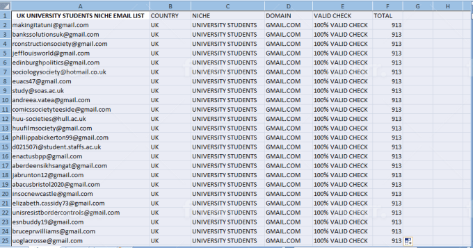 I will provide niche targeted email list in any country