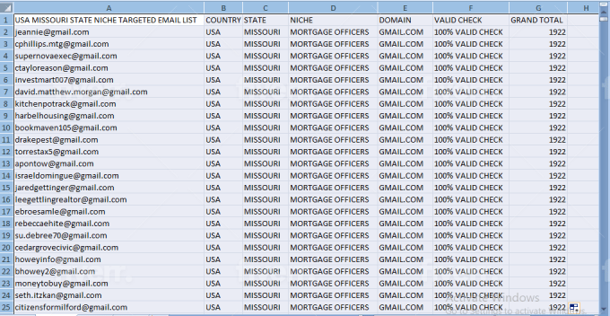 I will provide niche targeted email list in any country