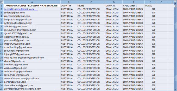 I will provide niche targeted email list in any country