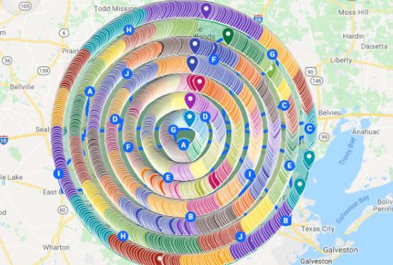  200 live local citations and 15000 google map citations
