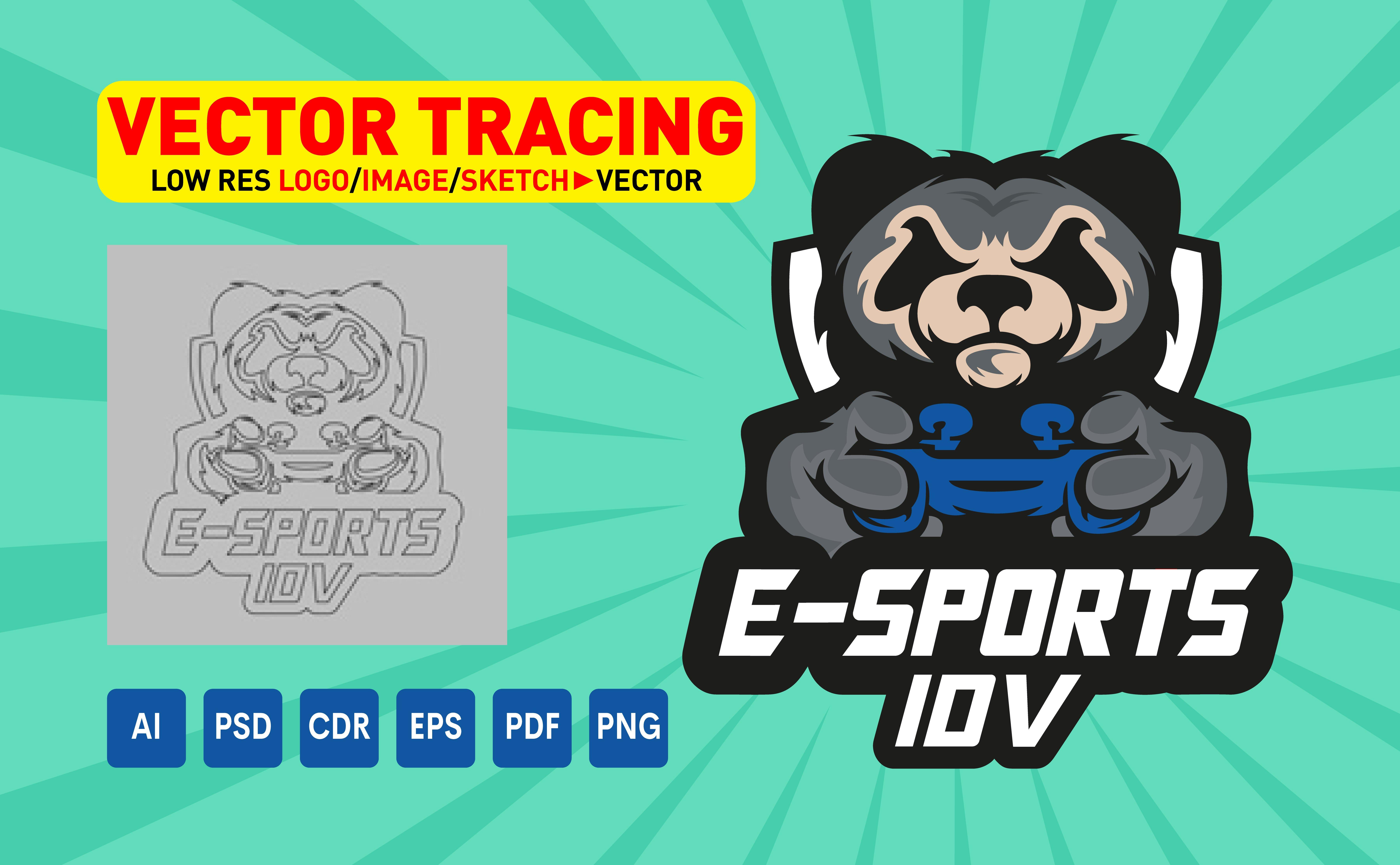 I will vectorize logo, vector tracing, rework and cleanup, convert image to vector