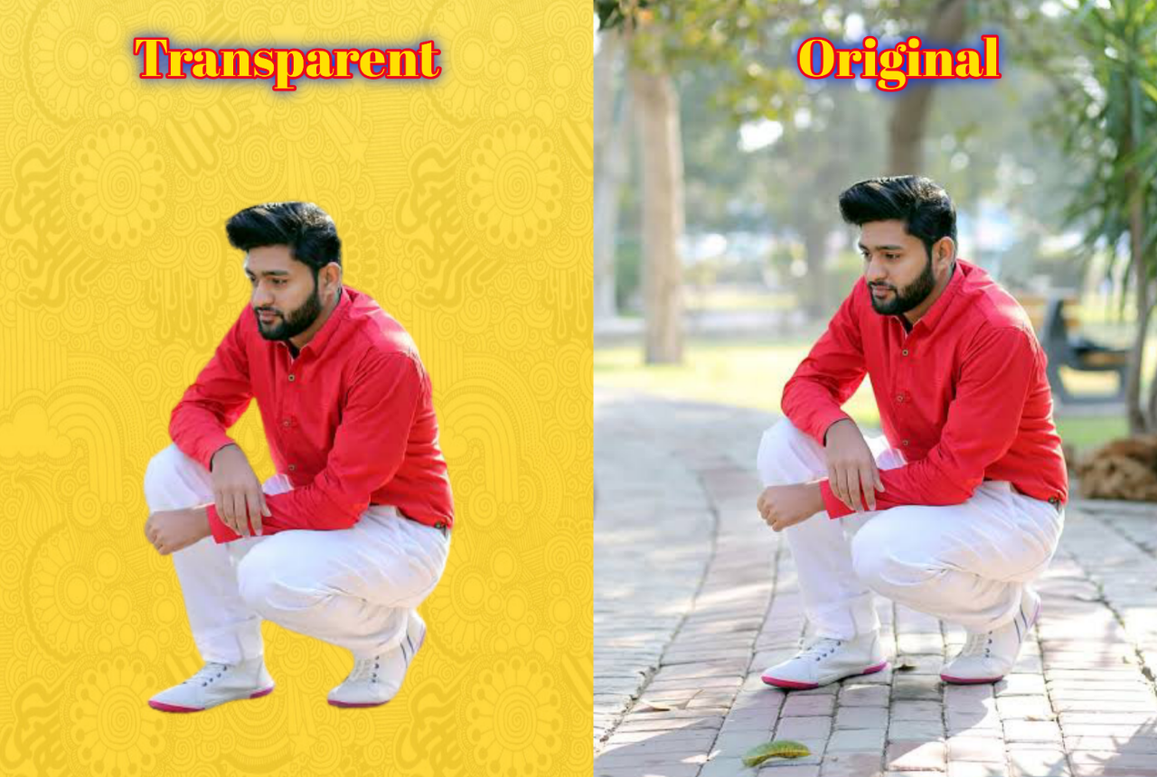 I will Remove Or Change Background Professionally