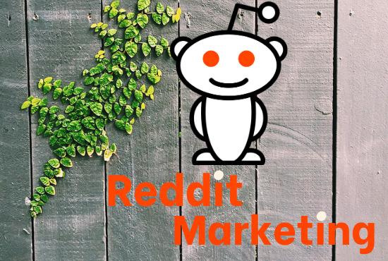 Compose And Publish 10 High Quality Reddit Guest Post
