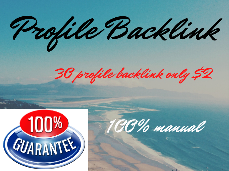  Live 30 Profile Backlinks high authority website for permanent backlink manually link building 