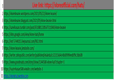 I will Create Manually 10 High authority backlinks web 2.0 for top SEO in Google Ranking