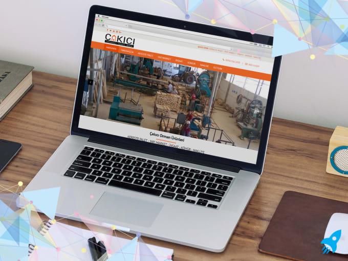 I will perfect wordpress theme customization