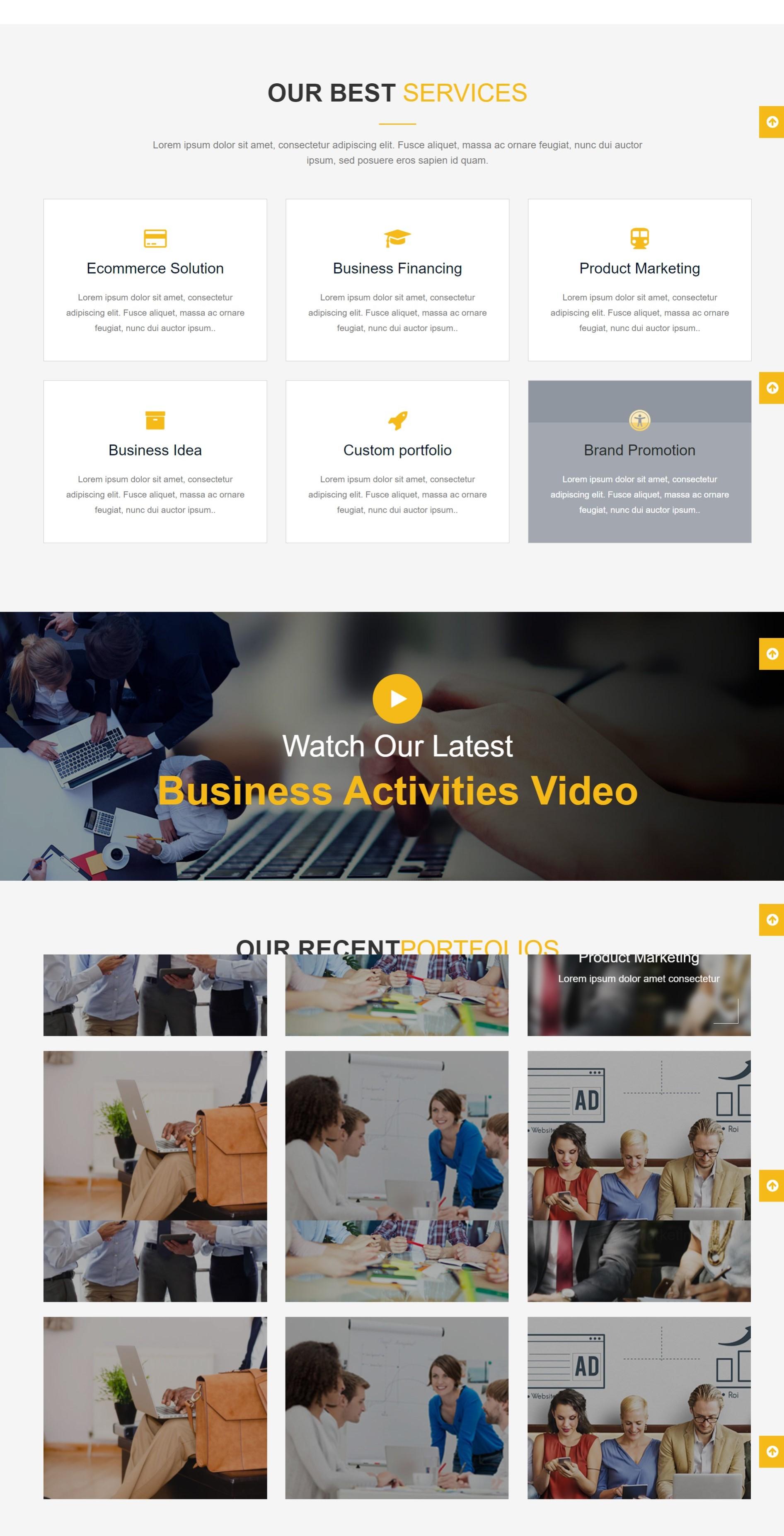 Wordpress Developer And Website Designer