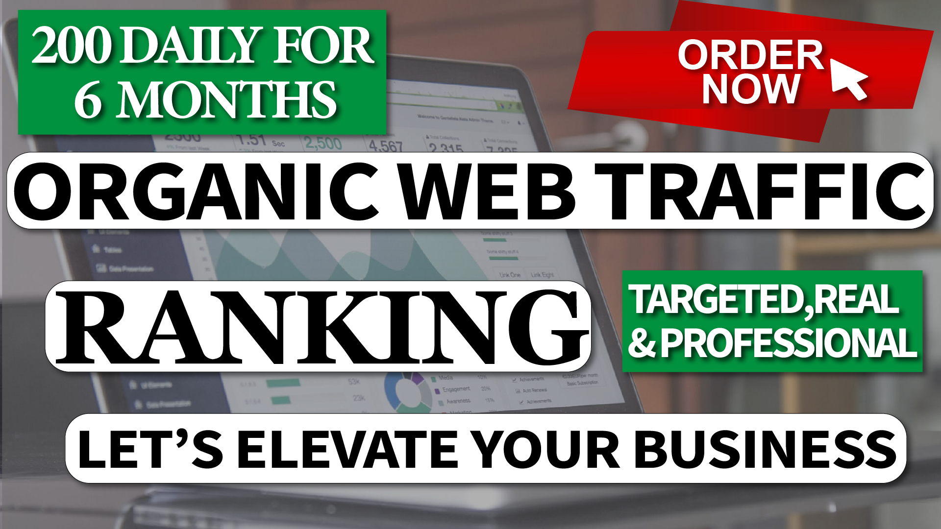 I Will Drive Real Organic Web TRAFFIC for 6 Month 