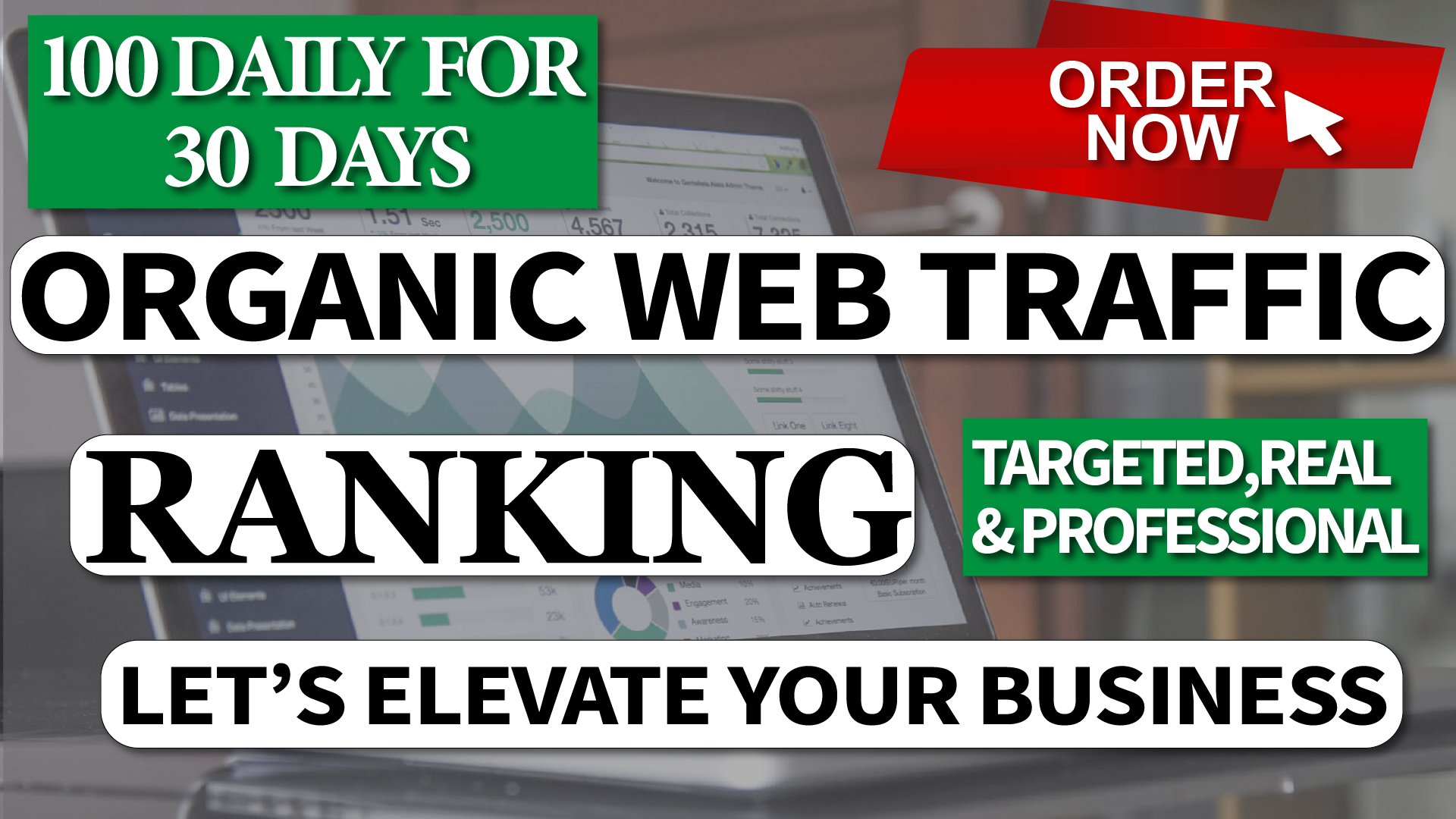 Real Organic Traffic for 30 Days Non Stop