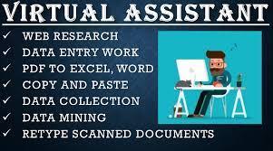 I will do professional Virtual Assistant, Web Research, Typing, Data Entry