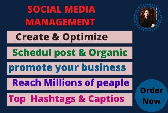 I will be your social media marketing manager and content 