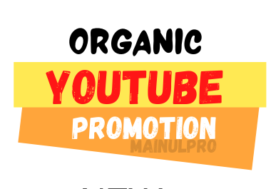 You will Get YouTube Video Promotion & Premium Marketing