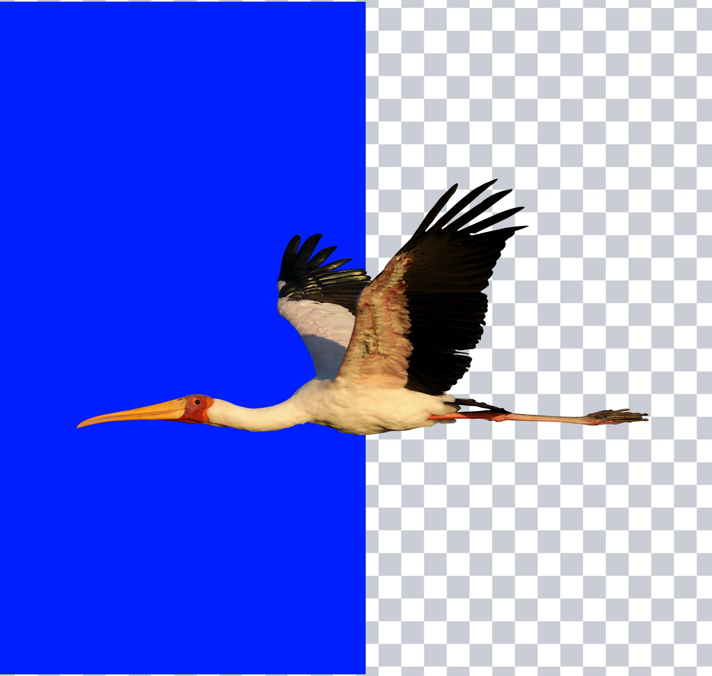 i will do super fast background remove from your pictures