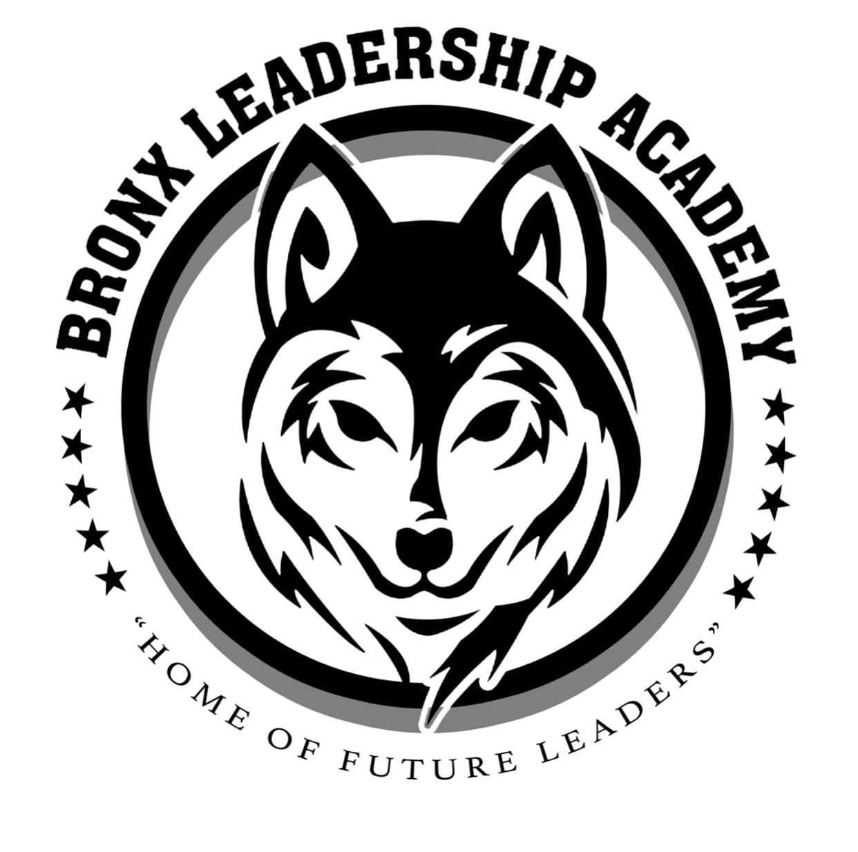 I will redraw, vectorize logo,image,drawing in high resolution