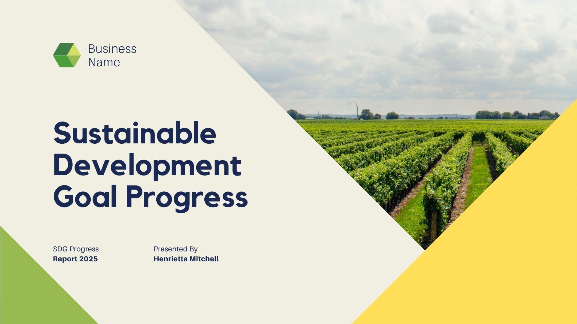 I will make professional business presentation slides 