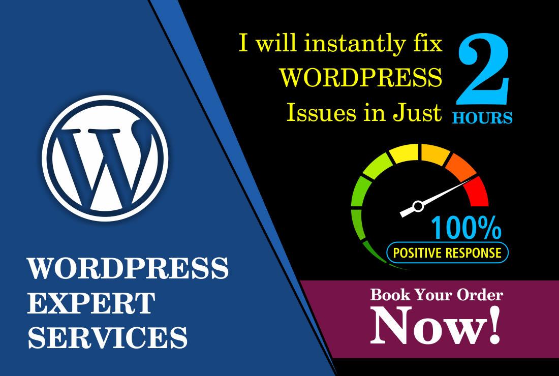 I will fix wordpress issue bug fixing error fixing in 2hours