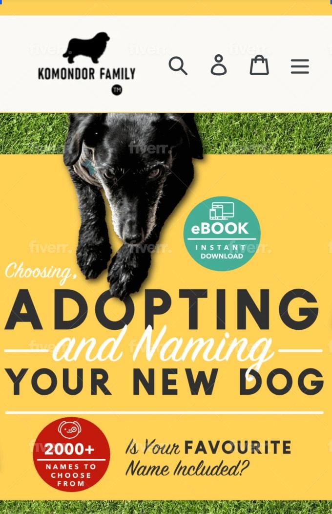 I will build 10k profitable shopify store,shopify website with shopify winning products