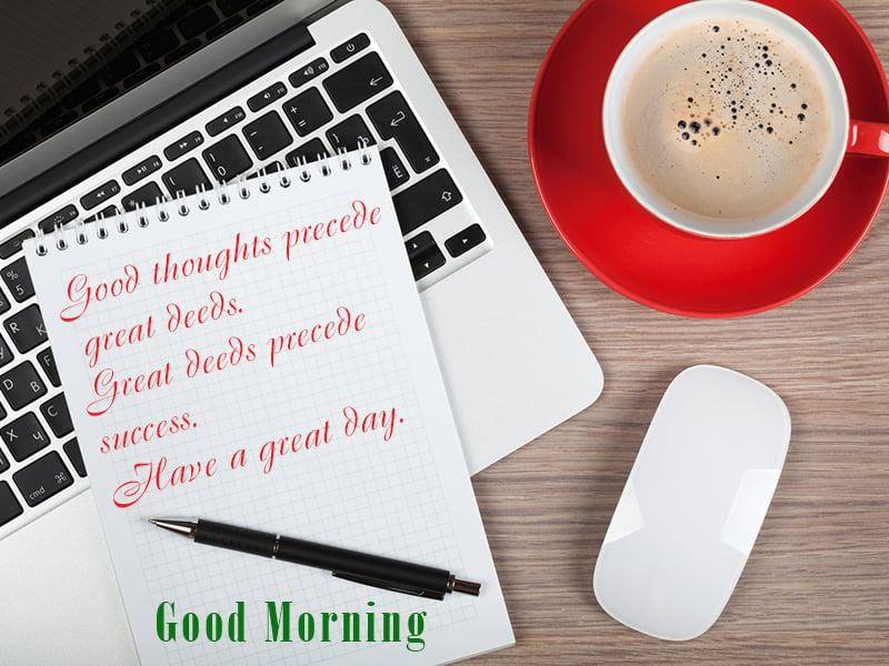 I will write professional SEO articles for your website